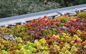 the cost of Beaminster green roof installation